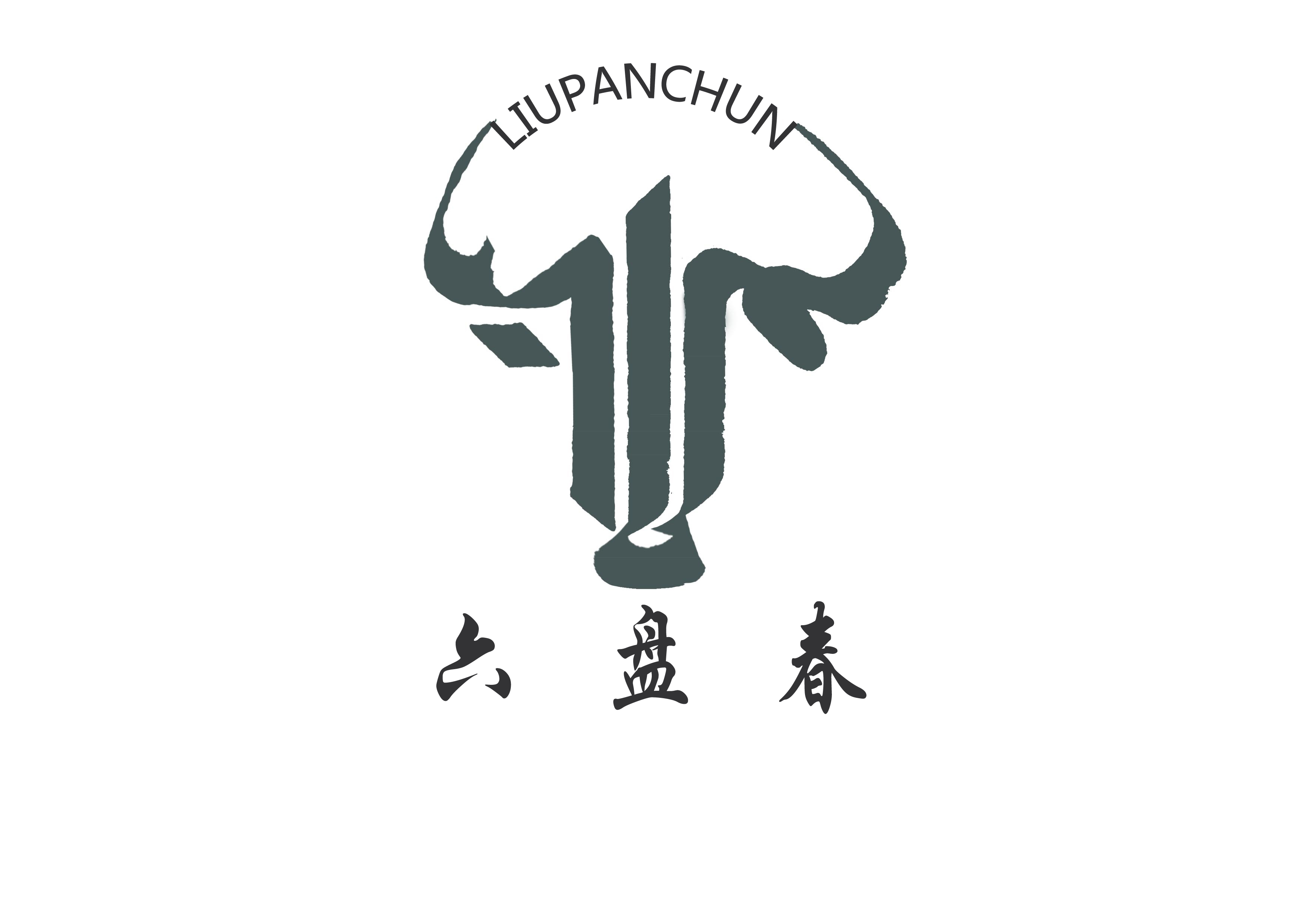 寧夏六盤春牛羊肉有限公司